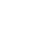 Georgia Holiday Logo