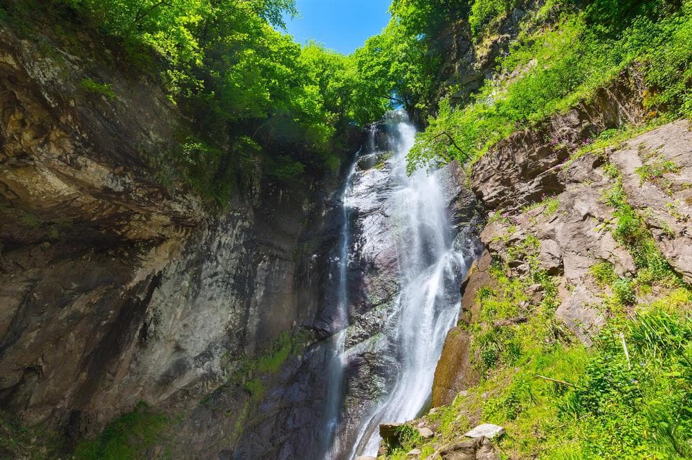 Makhuntseti Şelalesi ile Acara şarap ve bal turu - ana görsel